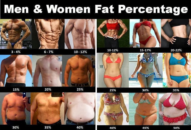 男性と女性の体脂肪率Fitness Worldより